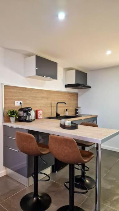 Appartamento L'Atelier B Magnifique Loft Avec Terrasse Privee Saint-Etienne  Esterno foto